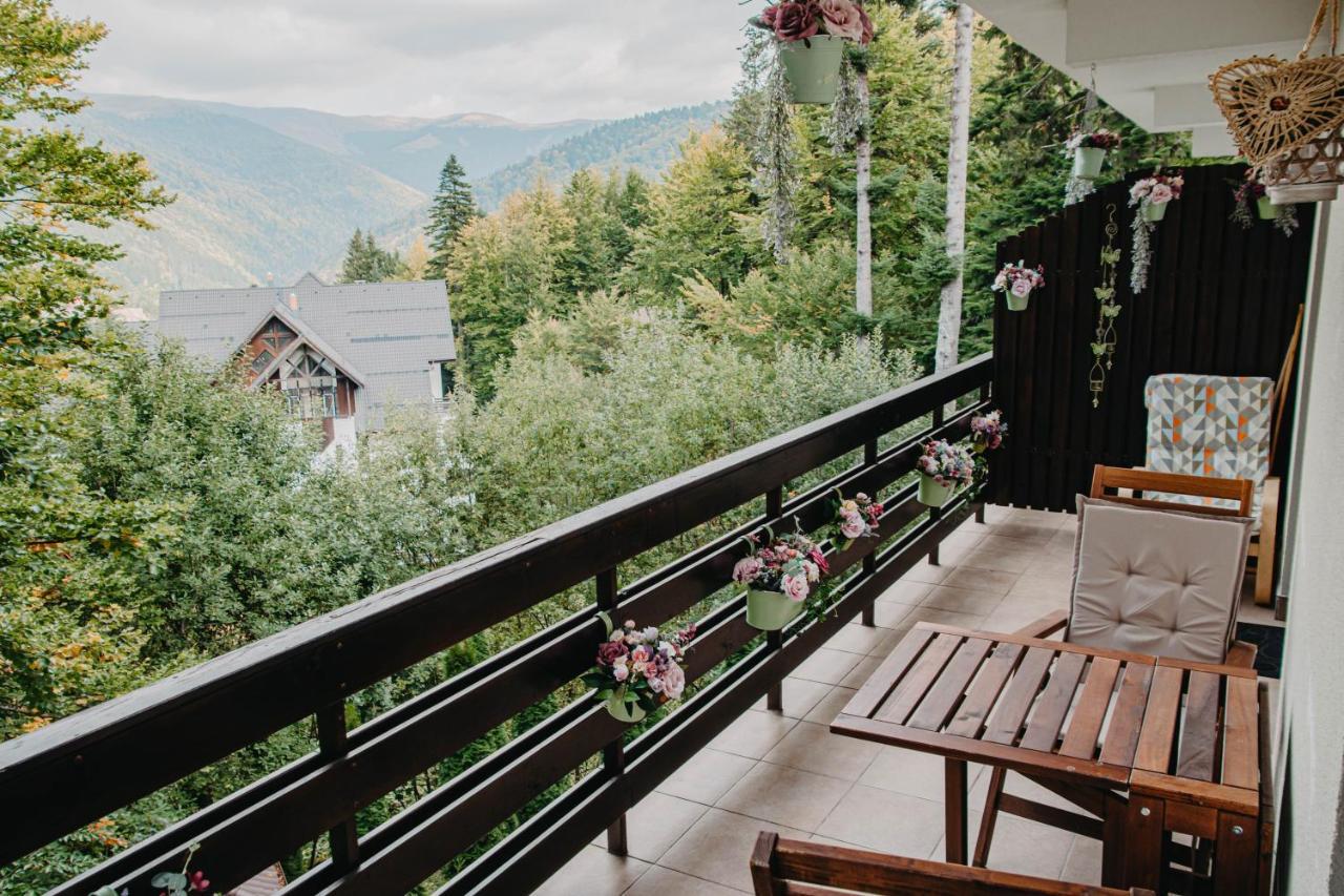 Hugo Mountain Apartment Sinaia Bagian luar foto